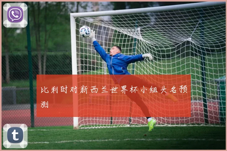 比利时对新西兰世界杯小组头名预测