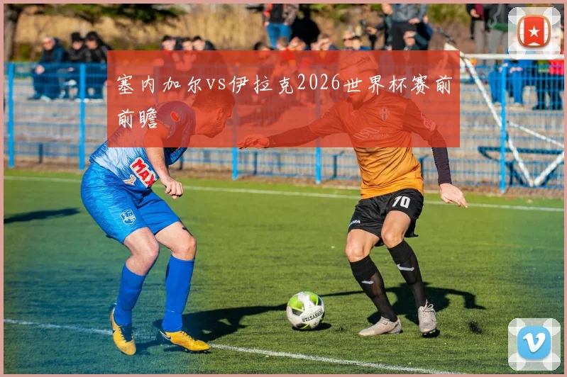塞内加尔vs伊拉克2026世界杯赛前前瞻