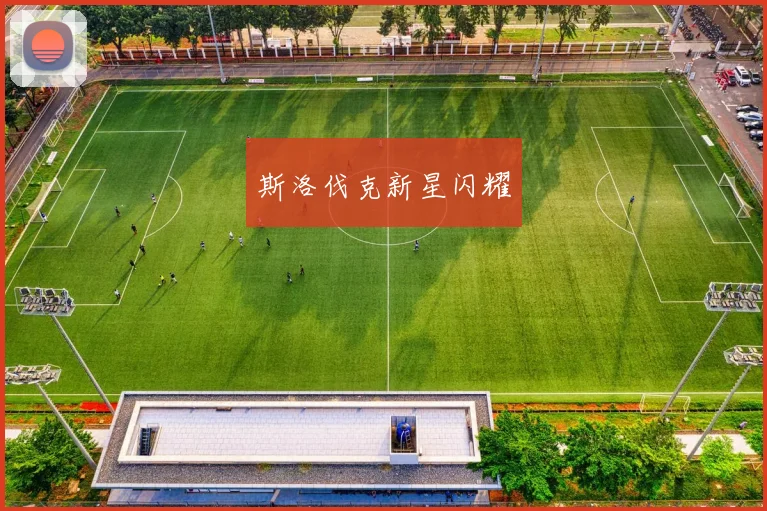 斯洛伐克新星闪耀