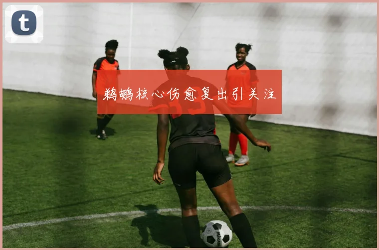 鹈鹕核心伤愈复出引关注