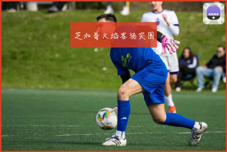 芝加哥火焰客场突围