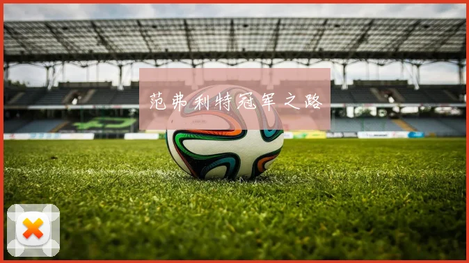 范弗利特冠军之路