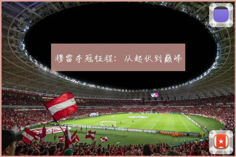 穆雷夺冠征程：从起伏到巅峰