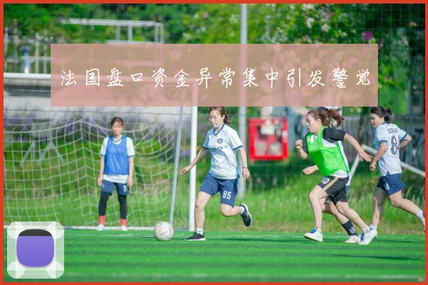法国盘口资金异常集中引发警觉