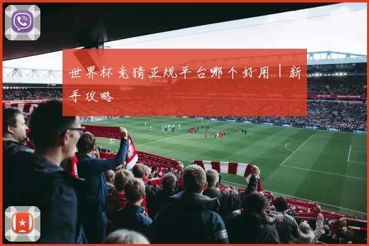 世界杯竞猜正规平台哪个好用｜新手攻略