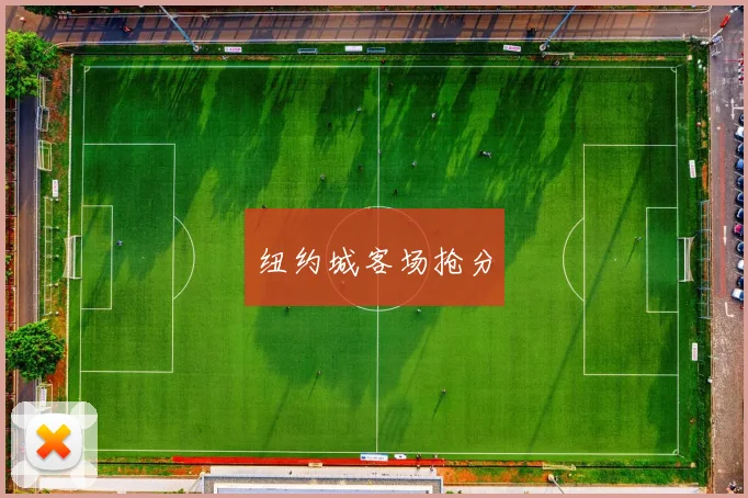 纽约城客场抢分