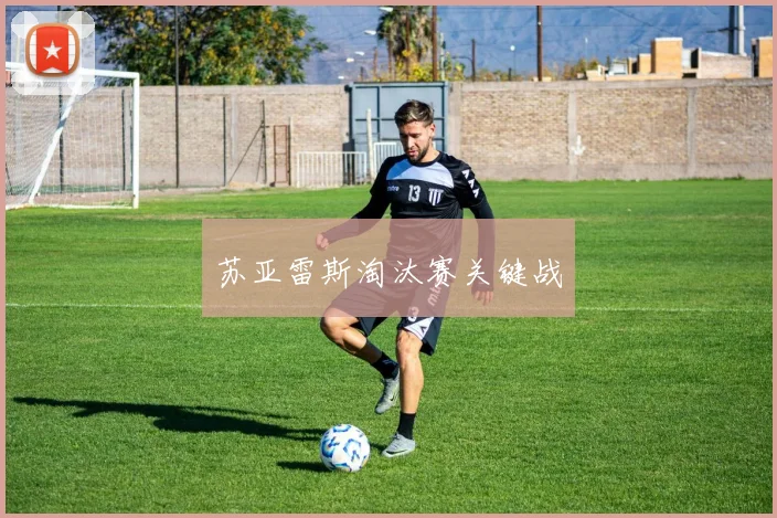 苏亚雷斯淘汰赛关键战