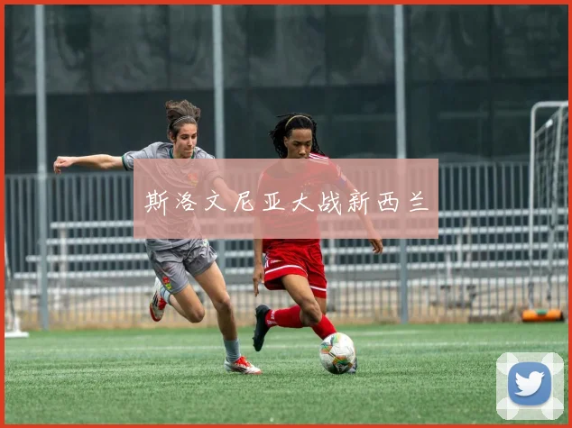 斯洛文尼亚大战新西兰