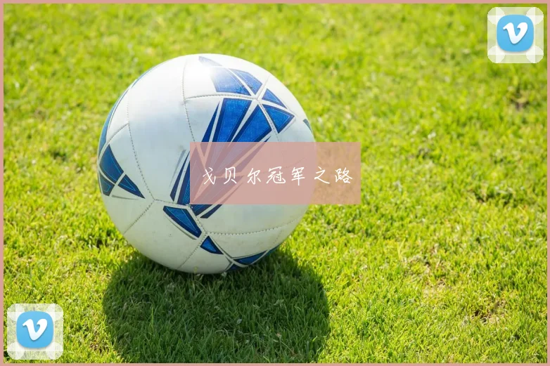 戈贝尔冠军之路