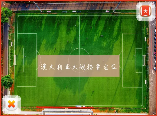 澳大利亚大战格鲁吉亚