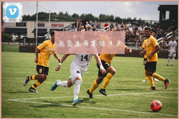 鹿岛鹿角赛场焦点