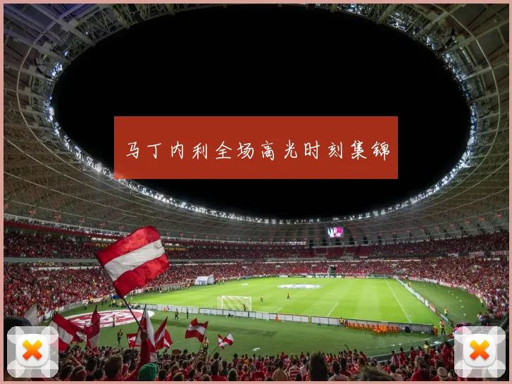 马丁内利全场高光时刻集锦