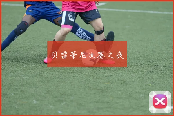 贝雷蒂尼决赛之夜