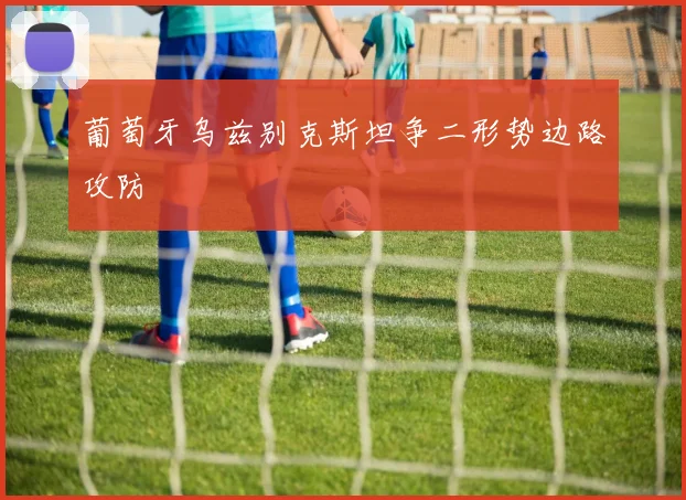 葡萄牙乌兹别克斯坦争二形势边路攻防