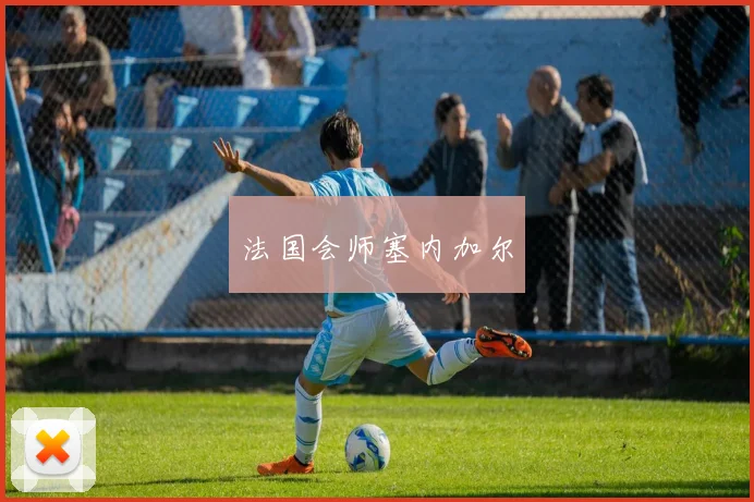 法国会师塞内加尔