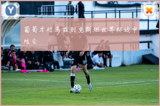 葡萄牙对乌兹别克斯坦世界杯边中结合