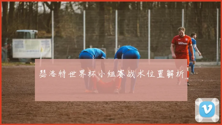 瑟洛特世界杯小组赛战术位置解析