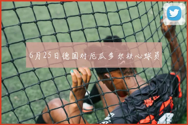 6月25日德国对厄瓜多尔核心球员