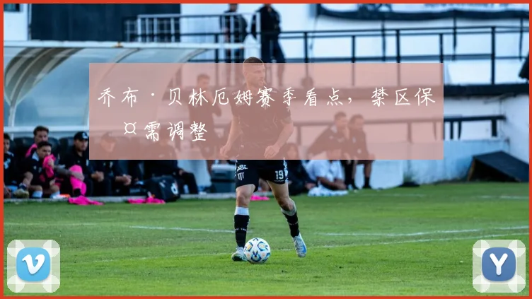乔布·贝林厄姆赛季看点,禁区保护需调整