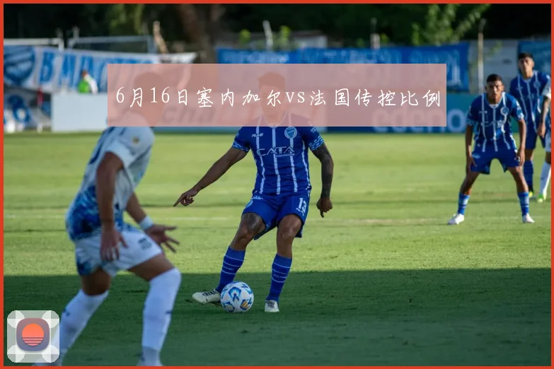 6月16日塞内加尔vs法国传控比例