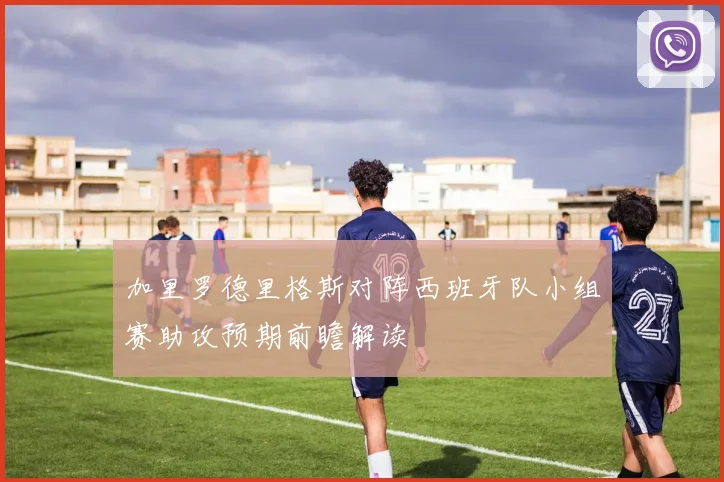 加里罗德里格斯对阵西班牙队小组赛助攻预期前瞻解读