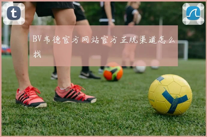 BV韦德官方网站官方正规渠道怎么找