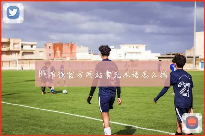BV韦德官方网站常见术语怎么找